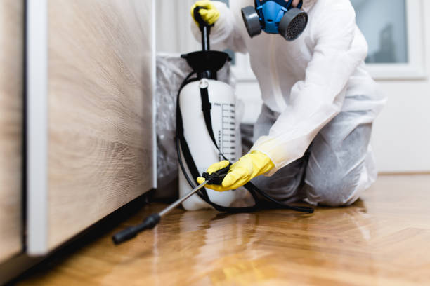 Best Commercial Pest Control Services  in Poplar Plains, CT