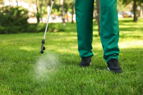 Best Bed Bug Extermination  in Poplar Plains, CT