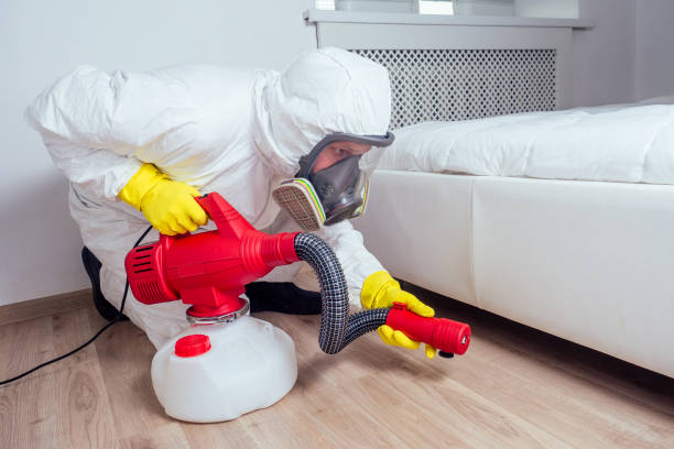 Best Wildlife Control Services  in Poplar Plains, CT