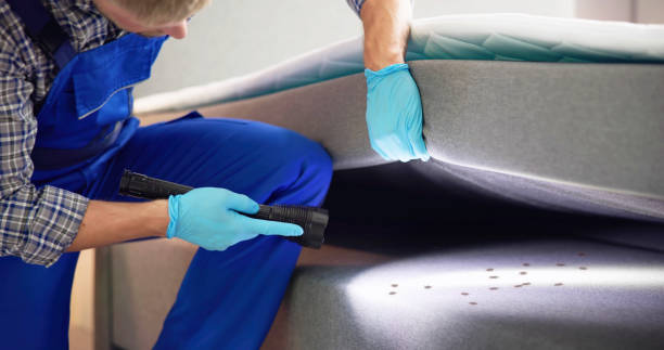 Best Pest Control Treatment  in Poplar Plains, CT