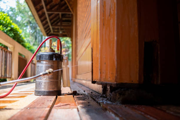 Best Exterminator Services  in Poplar Plains, CT