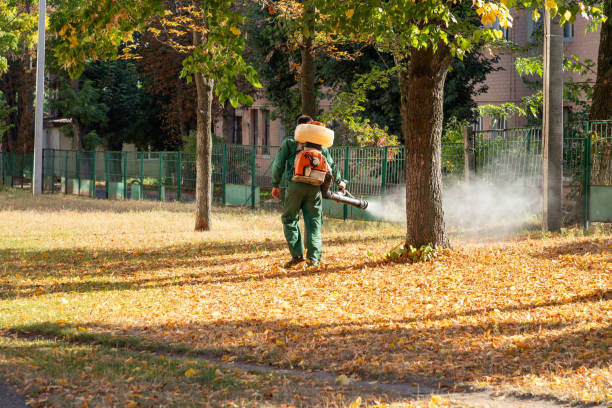 Best Best Pest Control Companies  in Poplar Plains, CT